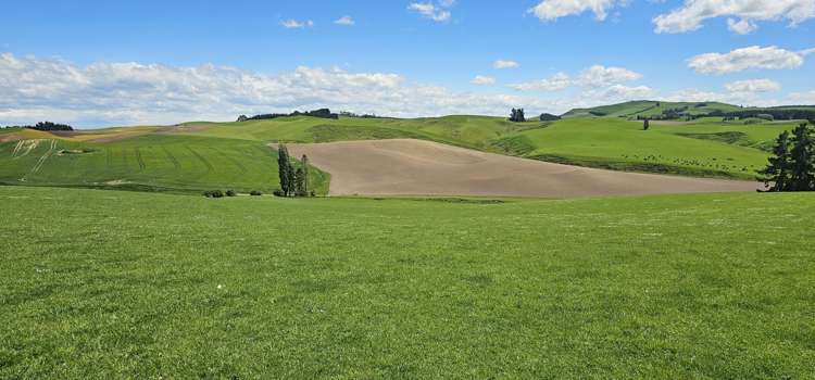 406 Byars Road Chatton North_2