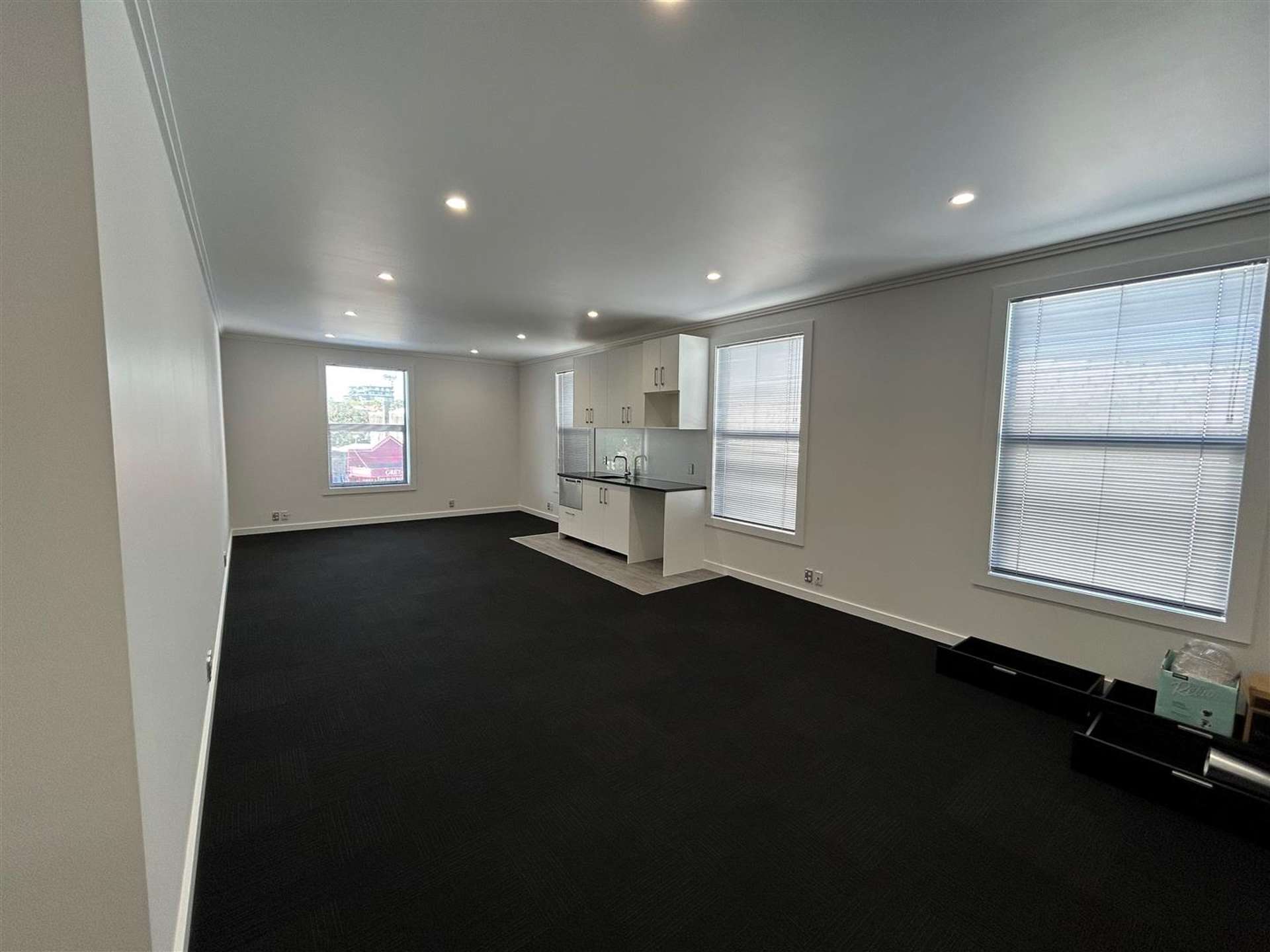 584 Great North Road Grey Lynn_0