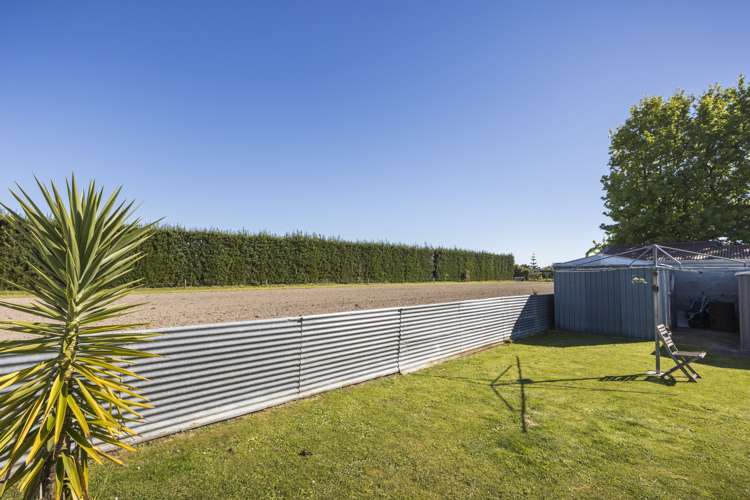 33 Benmore Avenue Cloverlea_19