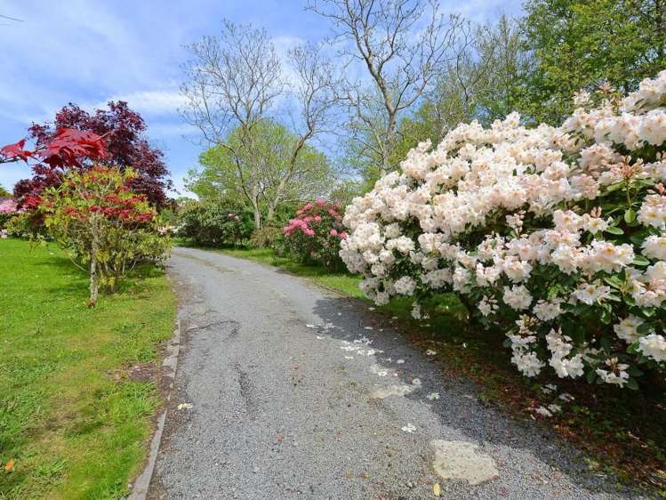 167 Katherine Mansfield Drive Whitemans Valley_25