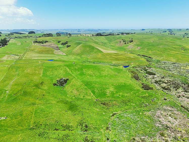 Lot Lot 2 Scottys Camp Road Dargaville_17