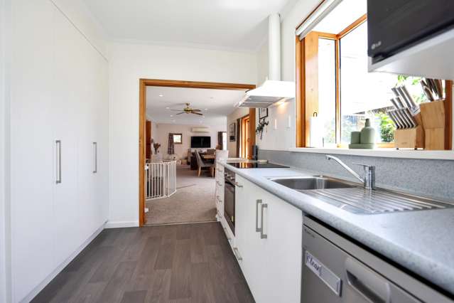 18 Harrison Street Allenton_4