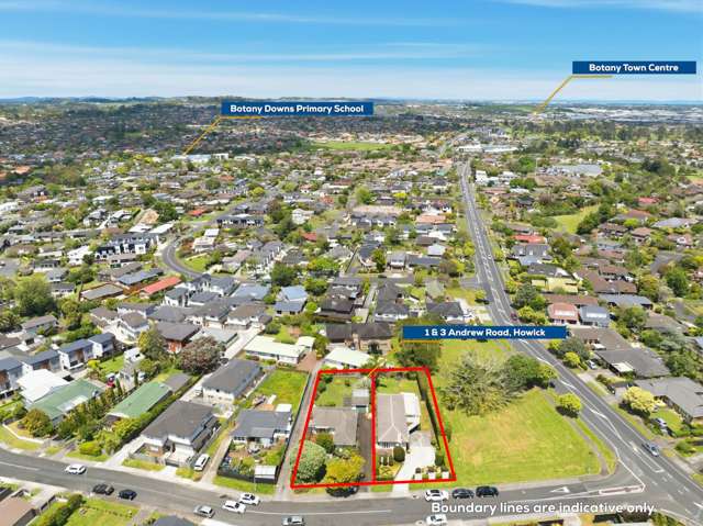 3 Andrew Road Howick_3