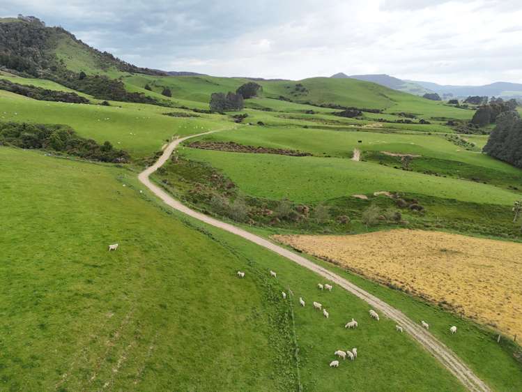 124 Niagara Waikawa Road Niagara_11