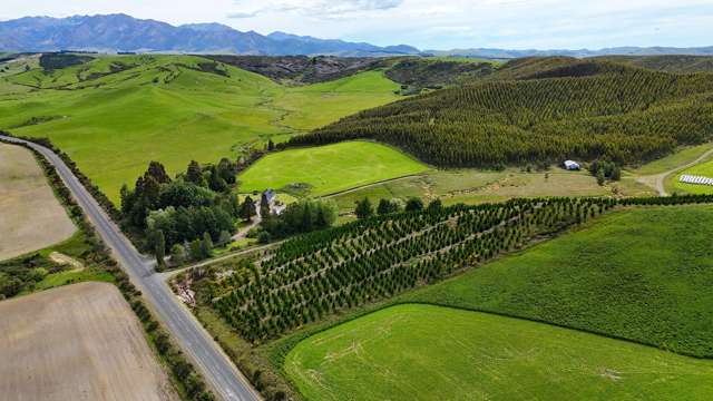 1384 Clifden Blackmount Road Wairaki_4