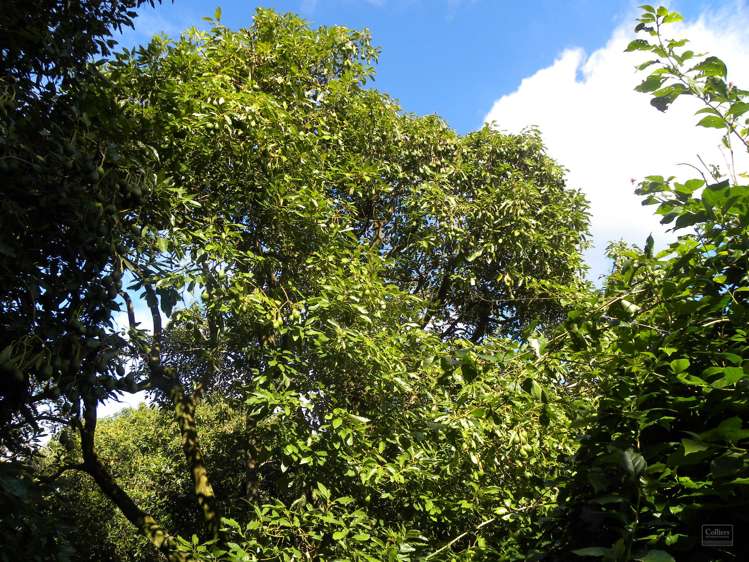 140 Wharawhara Road Hauraki Surrounds_15