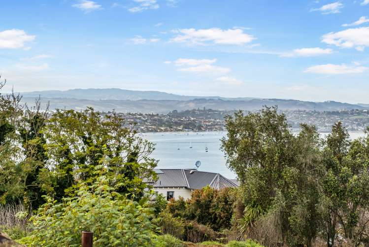 689 Riddell Road Glendowie_15