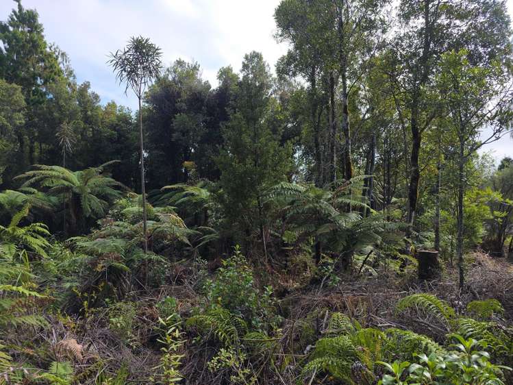 Ballarat Rise Awatuna_3