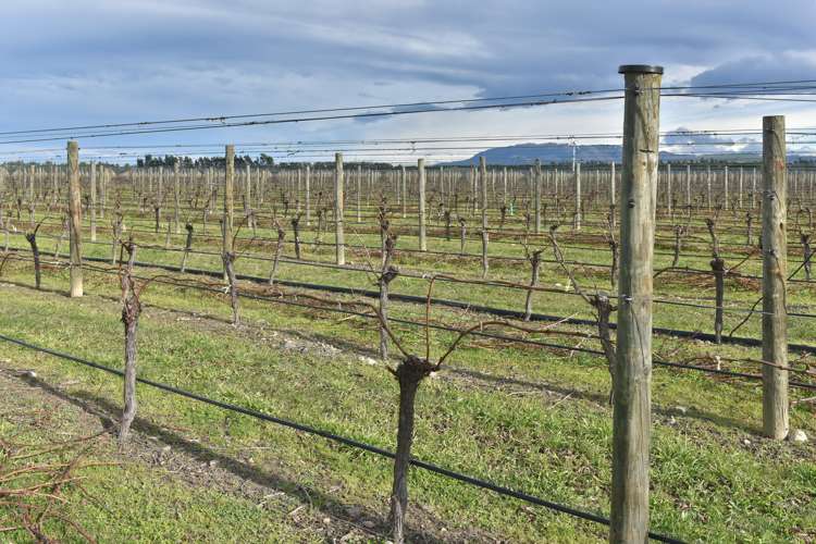 55 Darnley Road Amberley_17