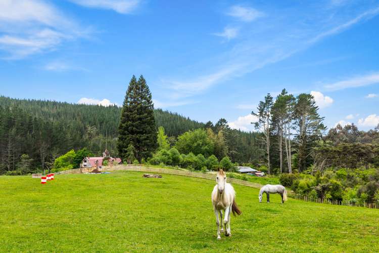 255 Mill Flat Road Riverhead_9