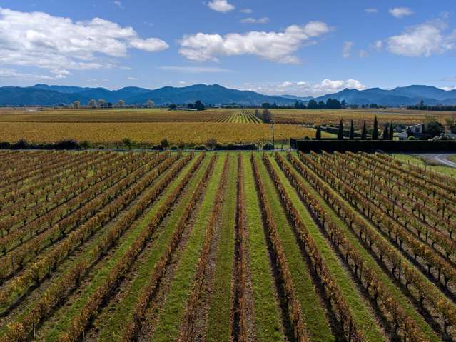 115 110 Oakley Avenue Springlands_4