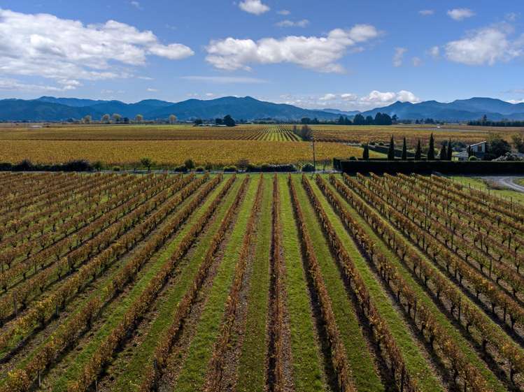 115 110 Oakley Avenue Springlands_3