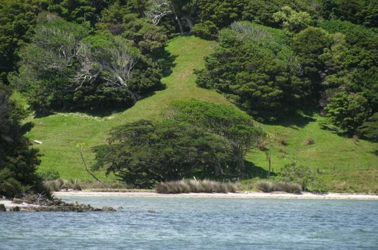 125 Massey Road Maungaturoto_6