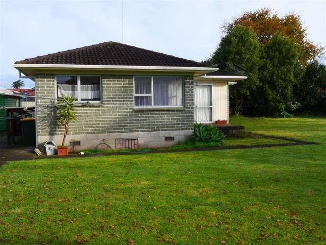 31 Ward Street Pukekohe_2