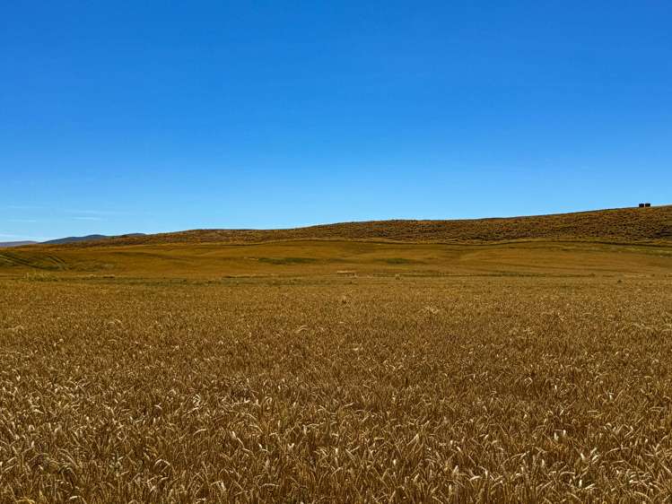 2996 Old Coach Road Clutha_6