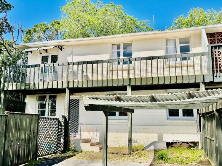 2/214 Campbell Road Greenlane_10