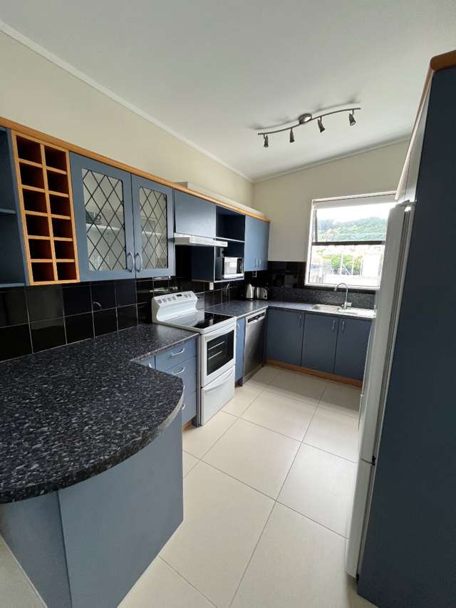 18 Fifeshire Avenue Te Aro_3