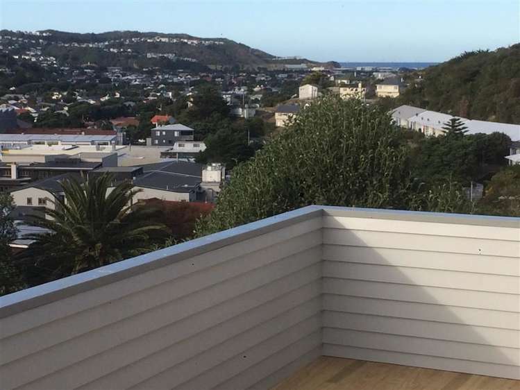 79 Miramar North Road Miramar_9