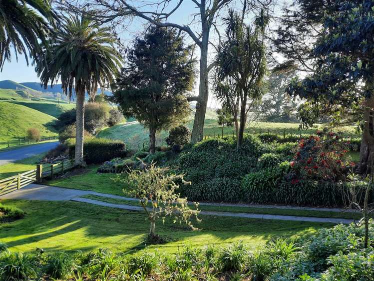 123 Hereford Park Road Pukehina_6