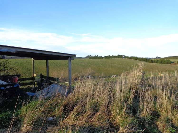 Old Port Road Catlins Surrounds_0