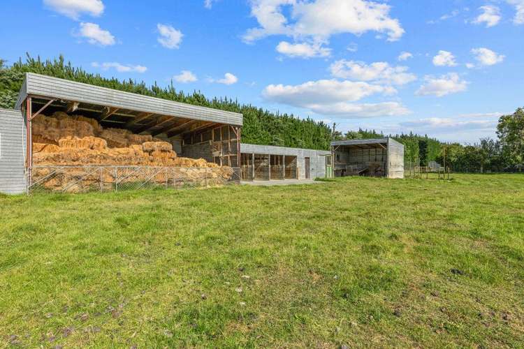 146 Chatmos Road Willowby_37