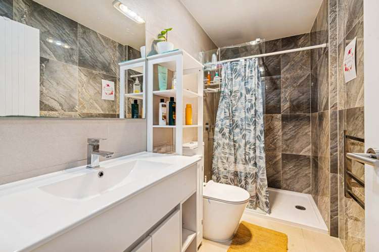 17 Dishys Road Flat Bush_13