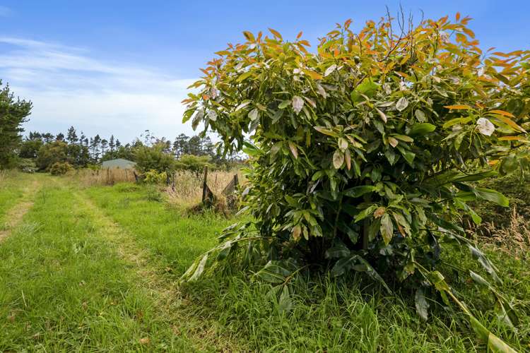 379d Tara Road Mangawhai_6