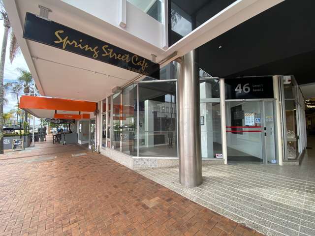 2B 46 Spring Street Tauranga Cbd_1
