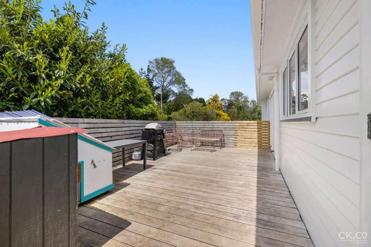 13 Kahikatea Lane Brown Owl_15