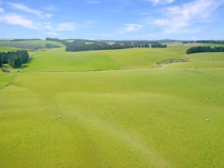 20 Carruthers Road Pomahaka_15