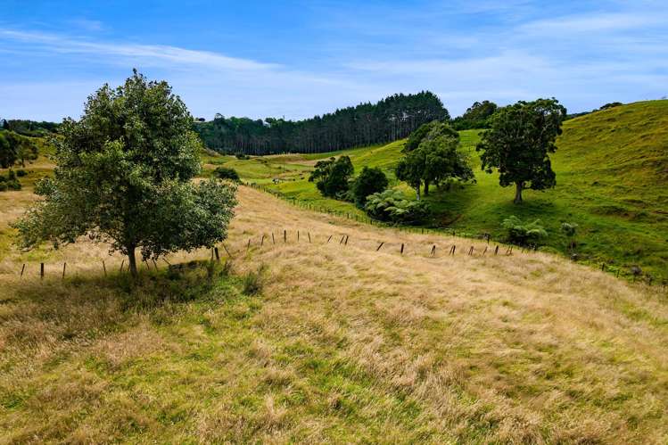 282 Smart Road Hillsborough_27