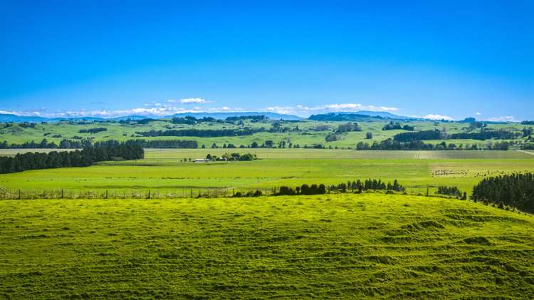 Aorangi Road (Lot 2) Maraekakaho_15