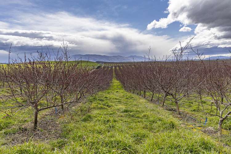 159 Thomson Gorge Road Cromwell_11