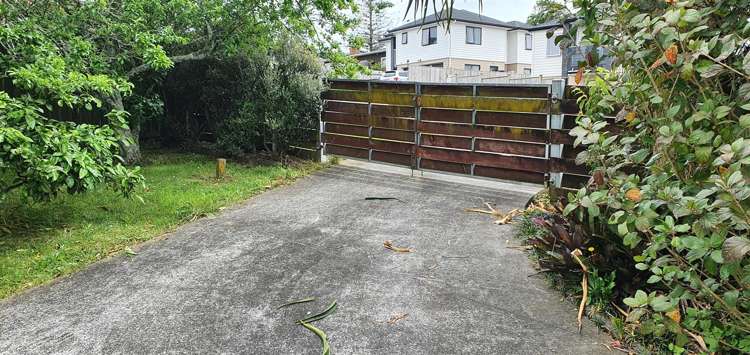 75 Vincent Street Howick_5