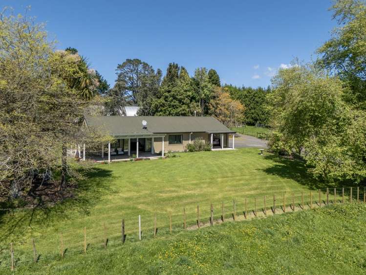9D McQuade Road Whakamarama_4