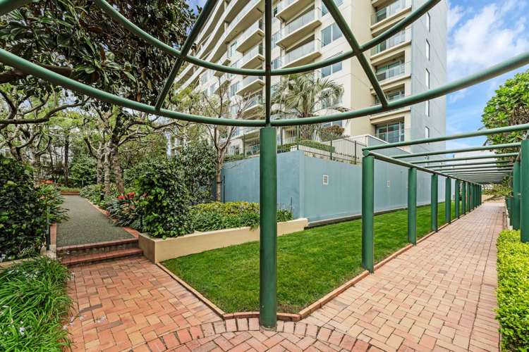 205/10 Middleton Road Remuera_17