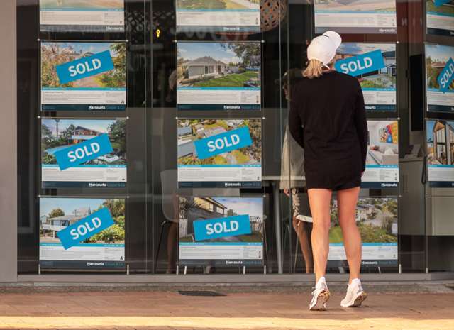 Tony Alexander: Seven reasons why first home buyers are back in the market