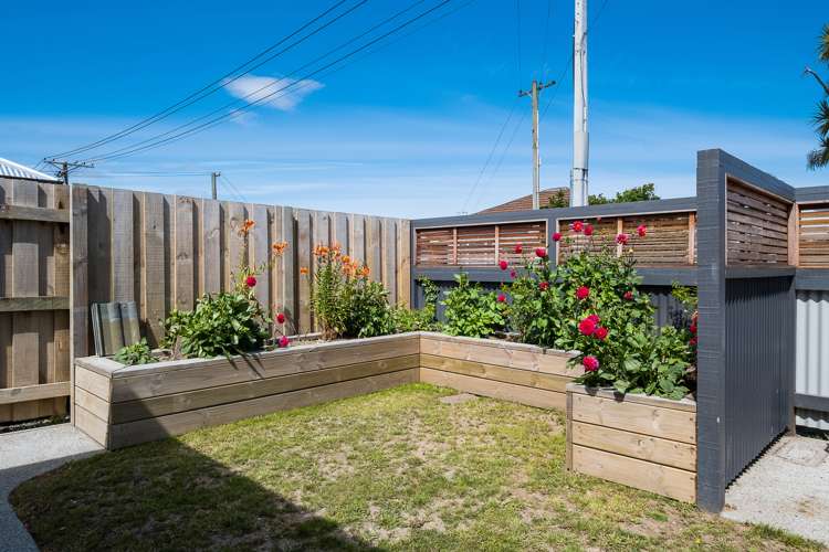 146 Melbourne Street South Dunedin_12