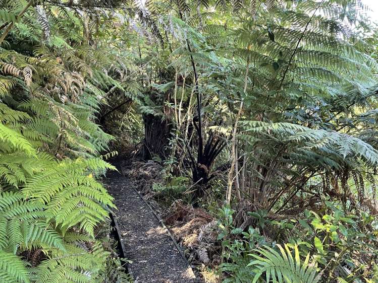 108c Ferguson Road Whatawhata_33