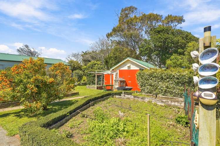 3 Brassey Street Waverley_23