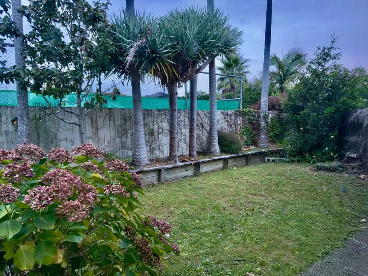 3/6 Melanesia Road Kohimarama_1