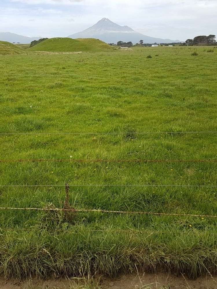 153 Tipoka Road Rahotu_18