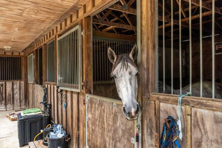 6 Ellett Road Karaka_19