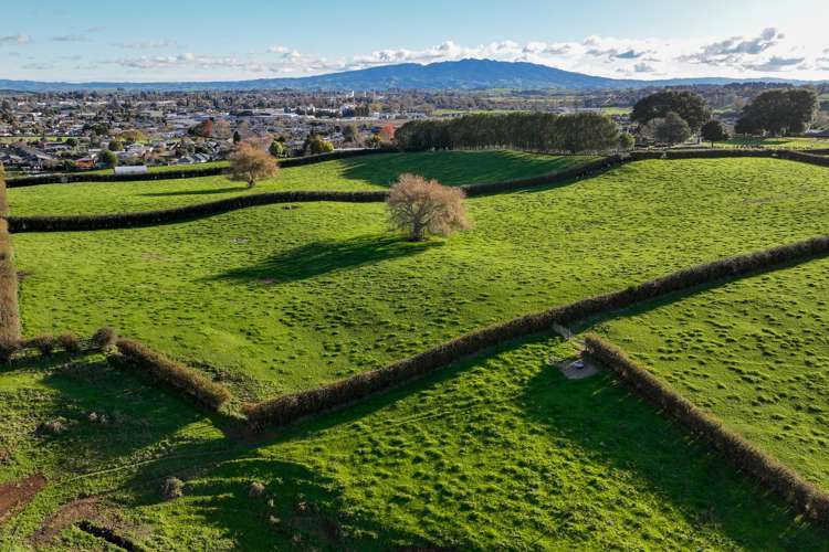 Picquet Hill Road Te Awamutu_5