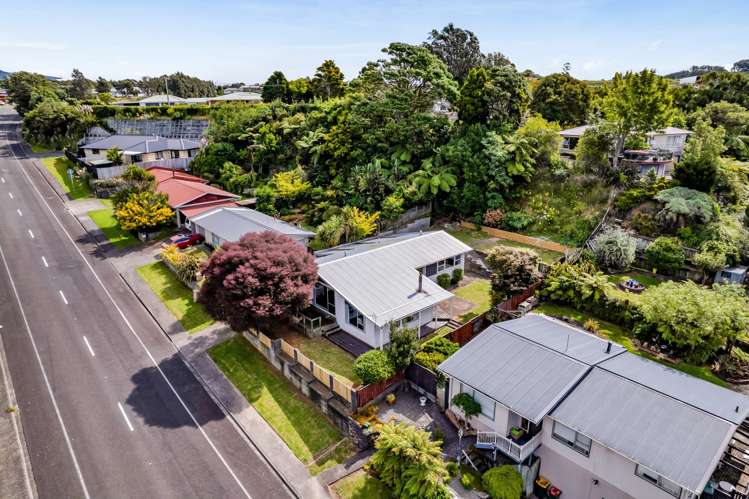 168 Omata Road Blagdon_29