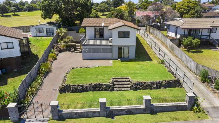 80 Finlayson Avenue Clendon Park_14