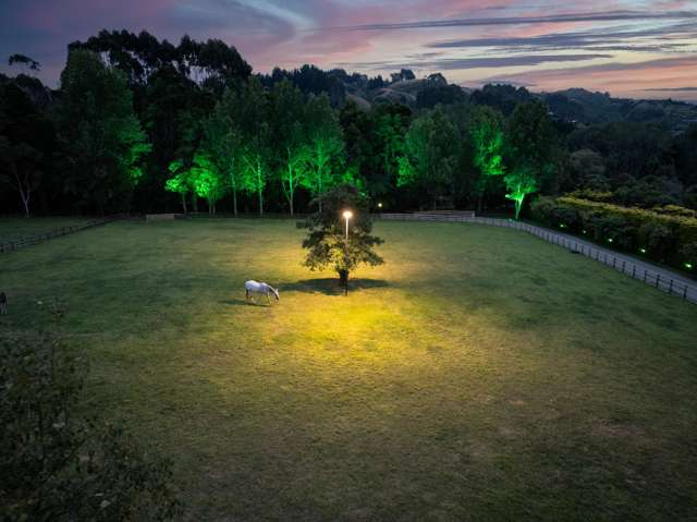 35 Eucalyptus Way Nikau Valley_3