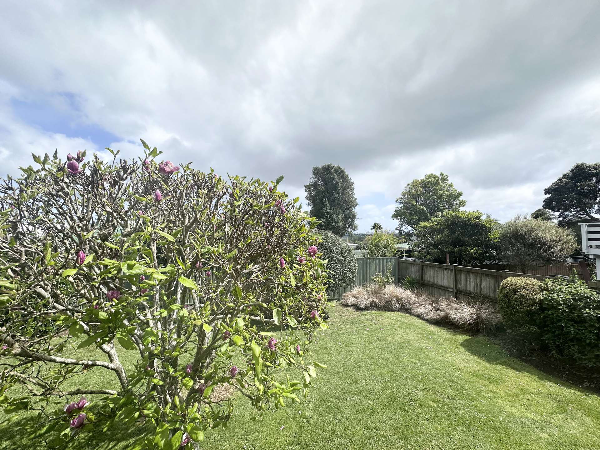 321 Kohimaramara Rd St Heliers_0