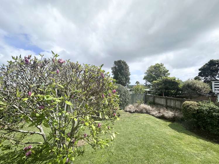 321 Kohimaramara Rd_0