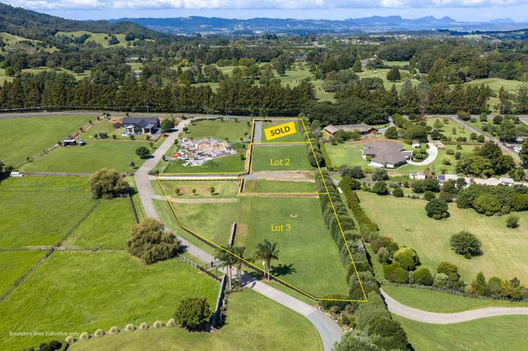 Lots 2-3/31 Millington Road Maunu_13
